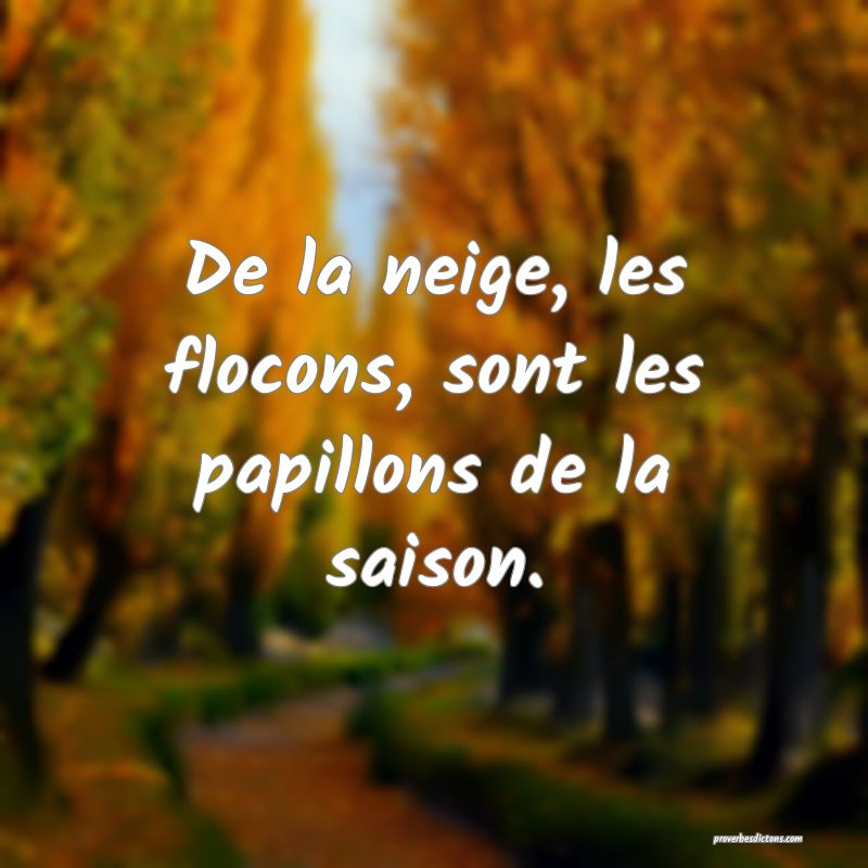De la neige, les flocons, sont les papillons de la saison.