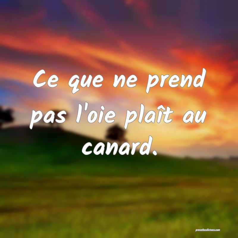 Ce que ne prend pas l'oie plaît au canard.