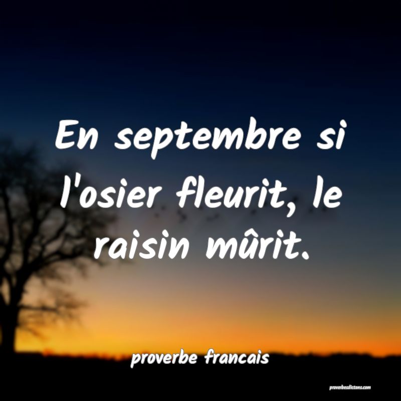 En septembre si l'osier fleurit, le raisin mûrit.