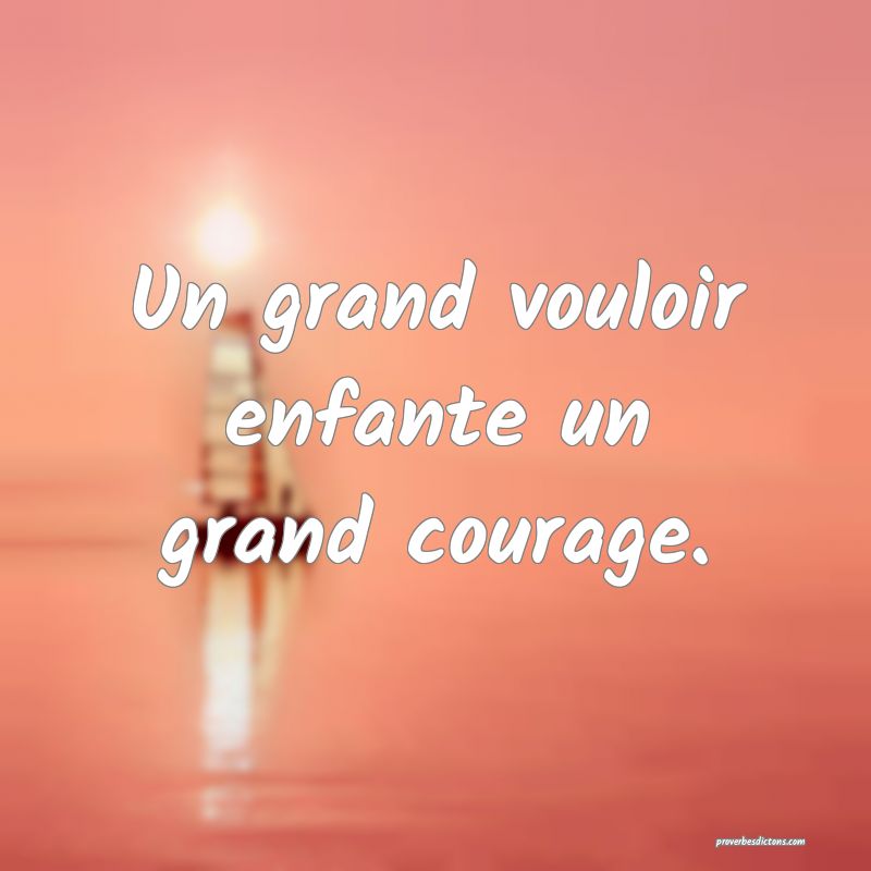 Un grand vouloir enfante un grand courage.