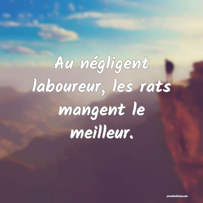 Au négligent laboureur, les rats mangent le meilleur.