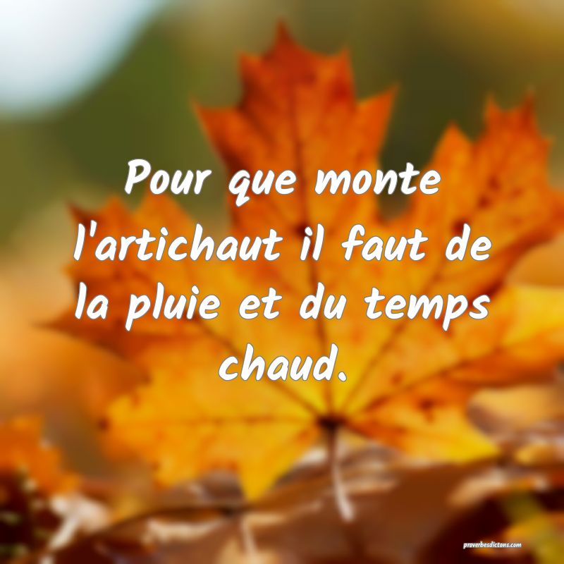 Pour que monte l'artichaut il faut de la pluie et du temps chaud.