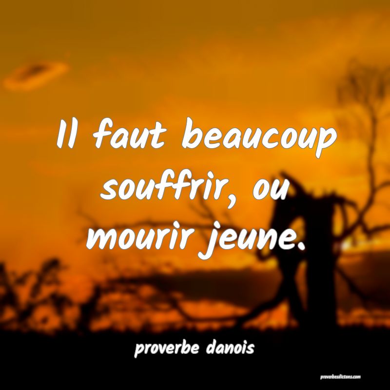 Il faut beaucoup souffrir, ou mourir jeune.
