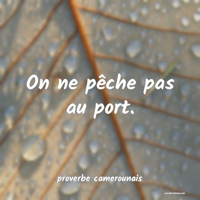  On ne pêche pas au port.