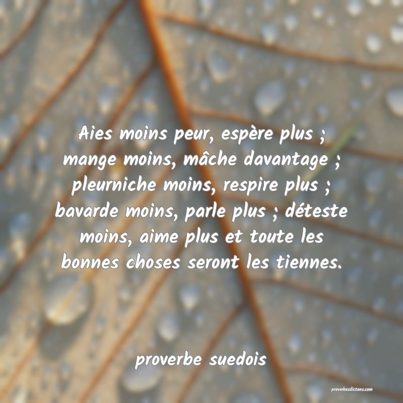 Aies moins peur, espère plus ; mange moins, mâche davantage ; pleurniche moins, respire plus ; bavarde moins, parle plus ; déteste moins, aime plus et toute les bonnes choses seront les tiennes.
