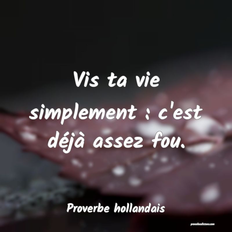 Vis ta vie simplement : c'est déjà assez fou.