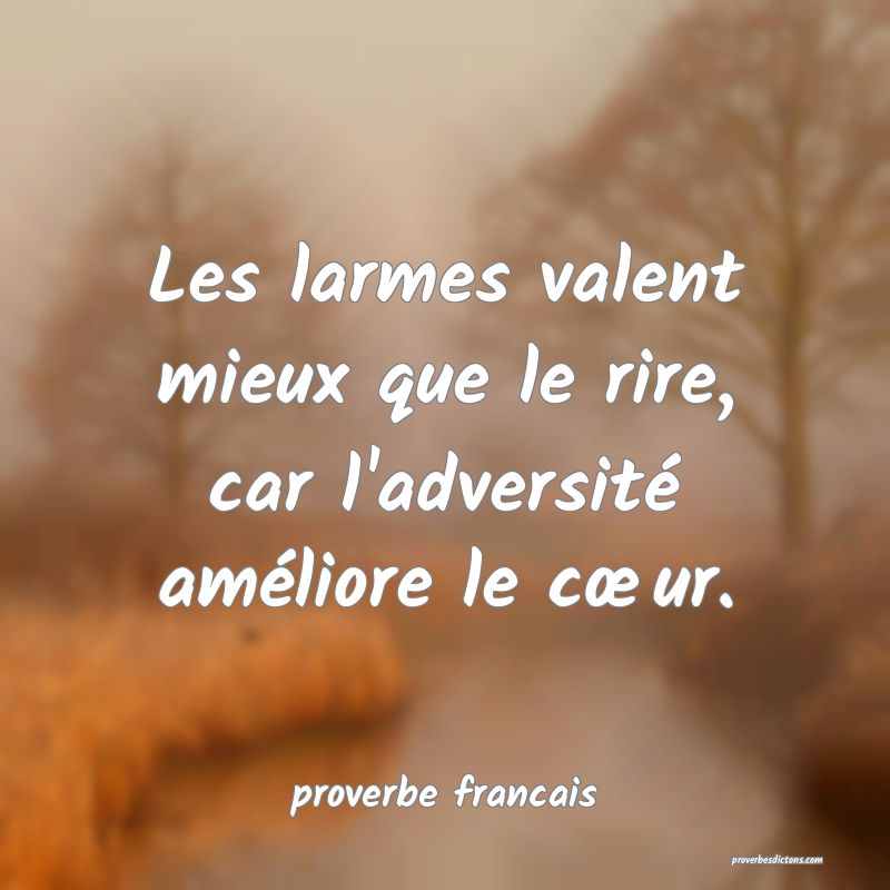 Les larmes valent mieux que le rire, car l'adversité améliore le cœur.