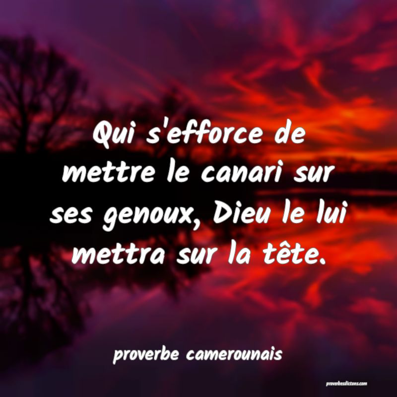 Qui s'efforce de mettre le canari sur ses genoux, Dieu le lui mettra sur la tête.