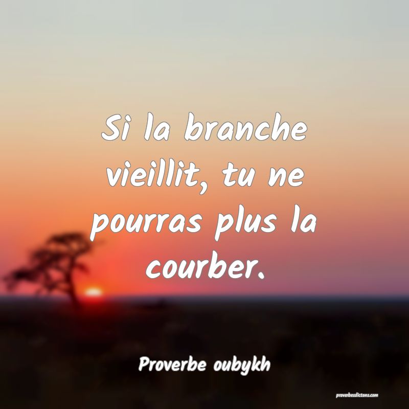 Si la branche vieillit, tu ne pourras plus la courber.