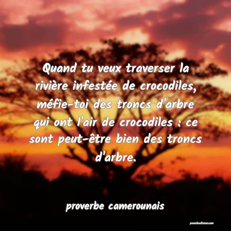  Quand tu veux traverser la rivière infestée de crocodiles, méfie-toi des troncs d'arbre qui ont l'air de crocodiles : ce sont peut-être bien des troncs d'arbre.