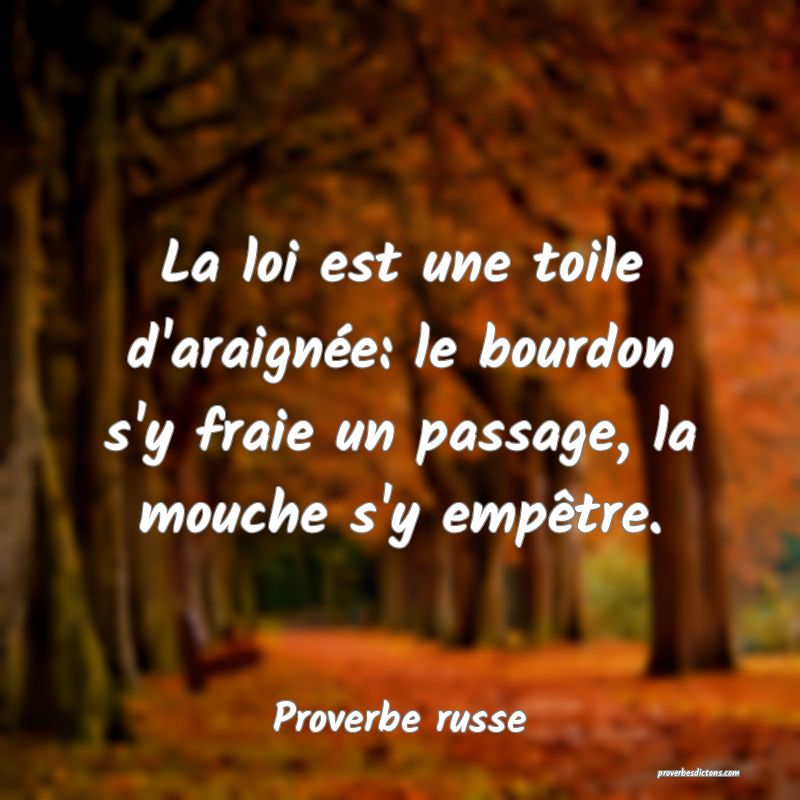 La loi est une toile d'araignée: le bourdon s'y fraie un passage, la mouche s'y empêtre.