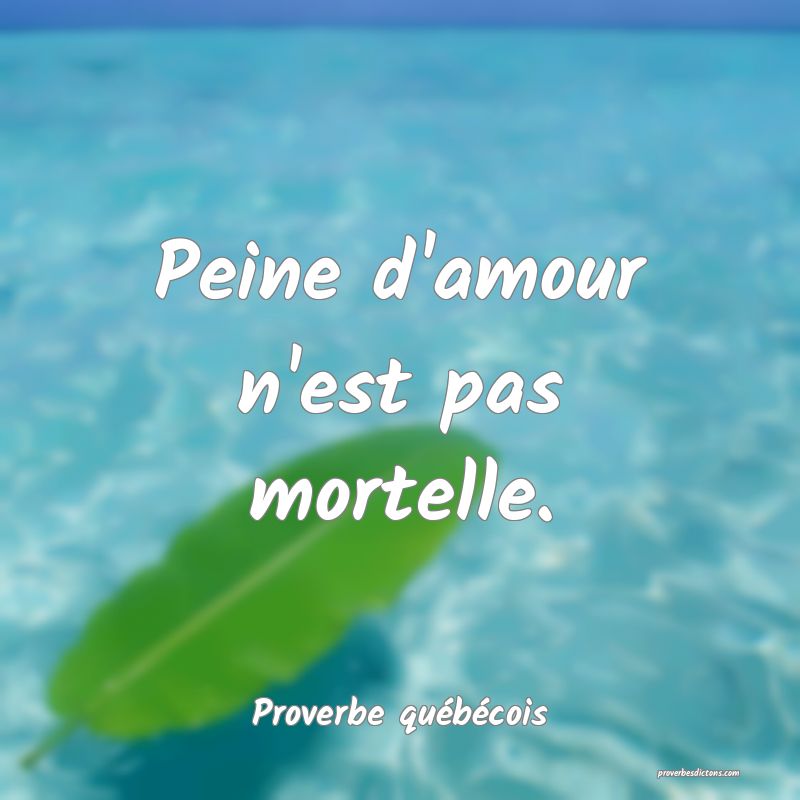  Peine d'amour n'est pas mortelle.