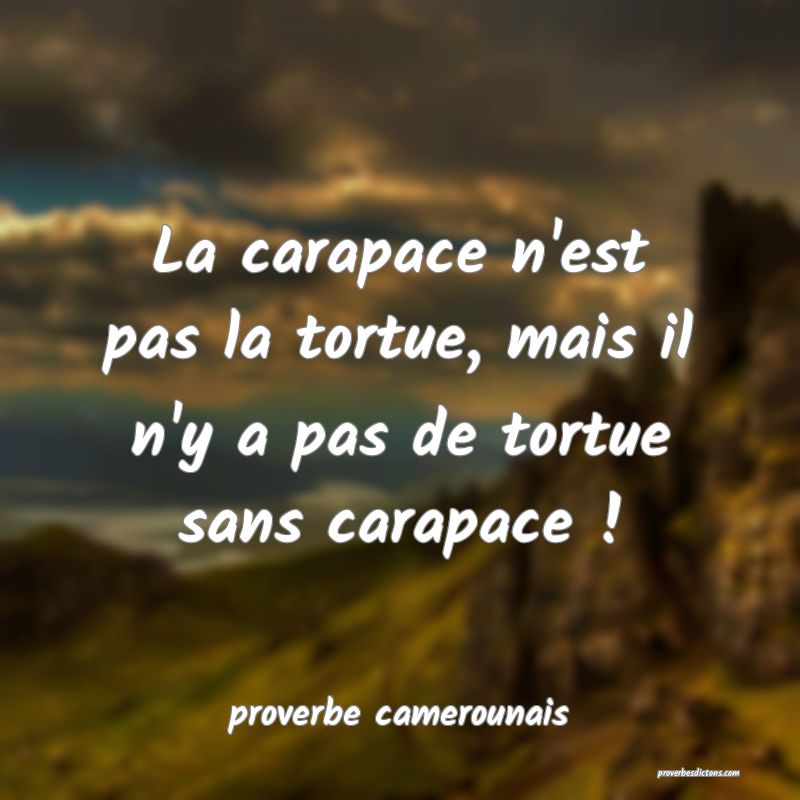  La carapace n'est pas la tortue, mais il n'y a pas de tortue sans carapace !