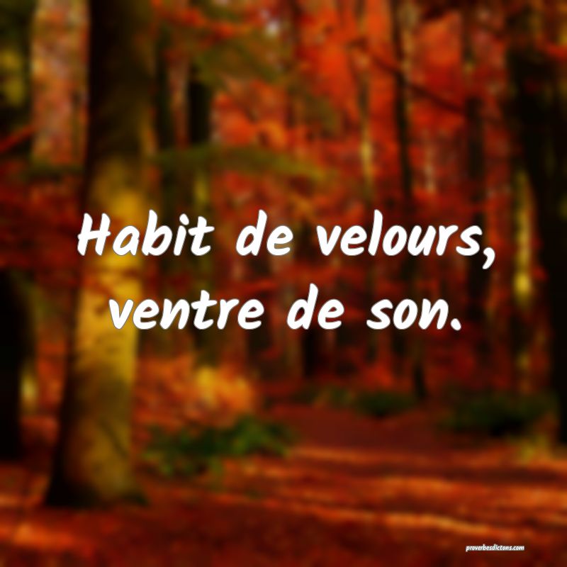 Habit de velours, ventre de son.