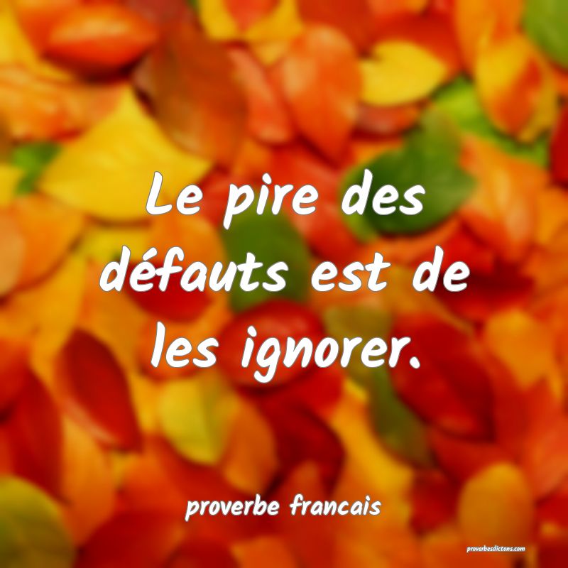 Le pire des défauts est de les ignorer.
