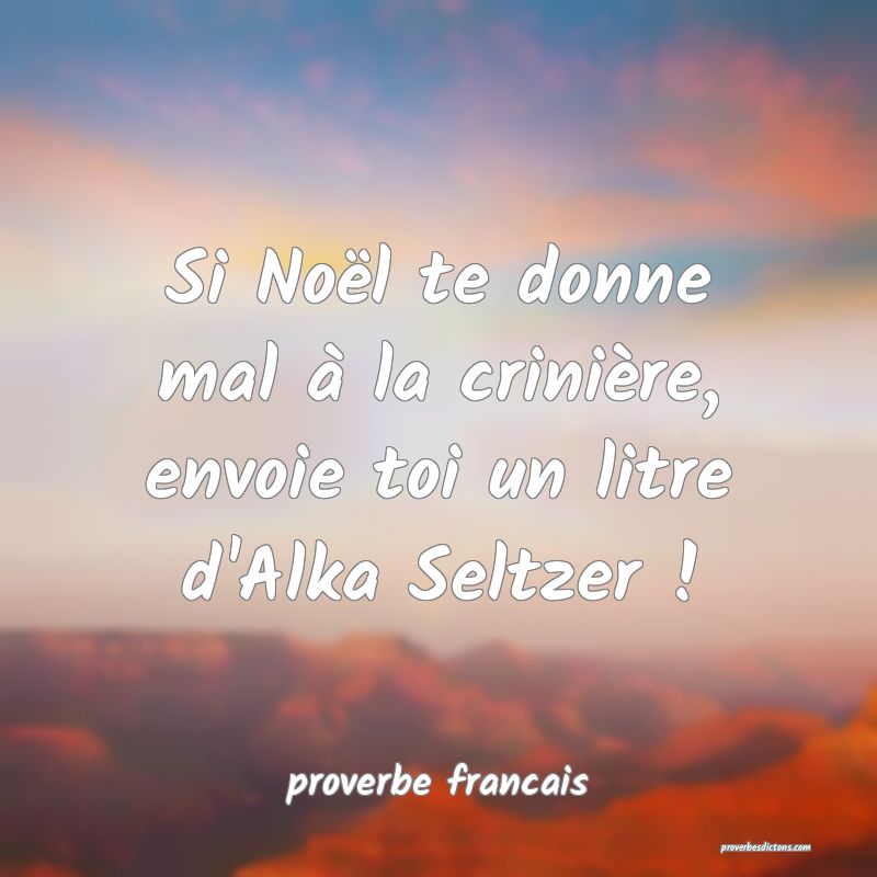 Si Noël te donne mal à la crinière, envoie toi un litre d'Alka Seltzer !