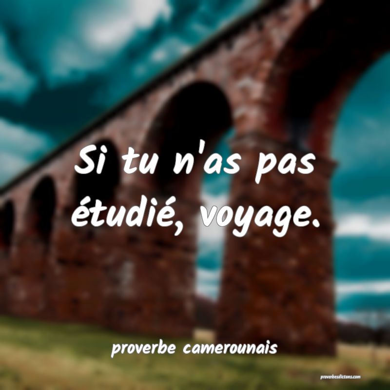  Si tu n'as pas étudié, voyage.
