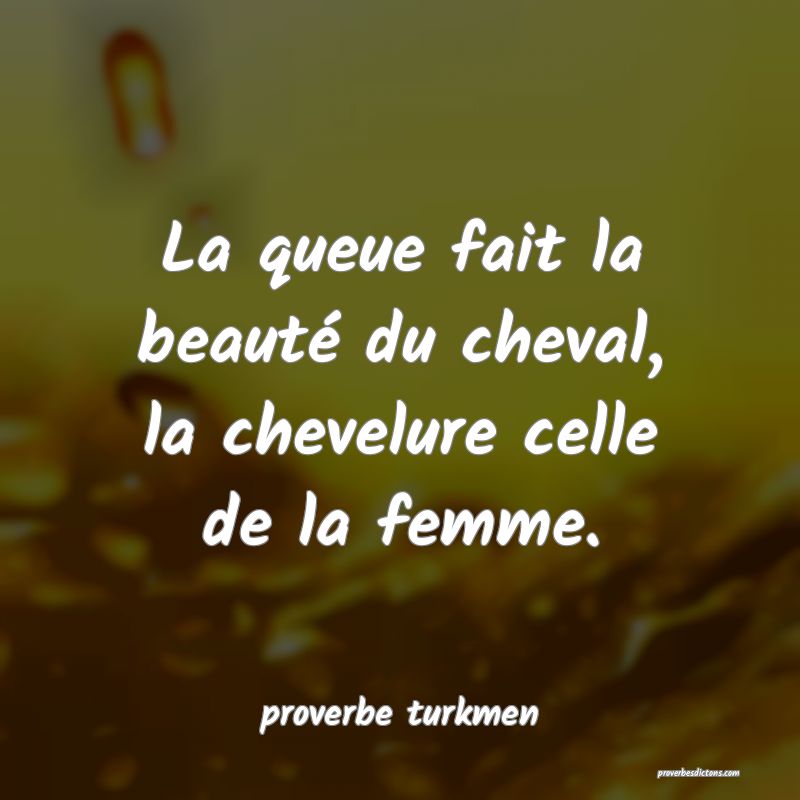 La queue fait la beauté du cheval, la chevelure celle de la femme.