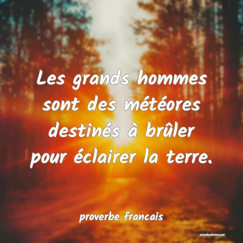 Les grands hommes sont des météores destinés à brûler pour éclairer la terre.