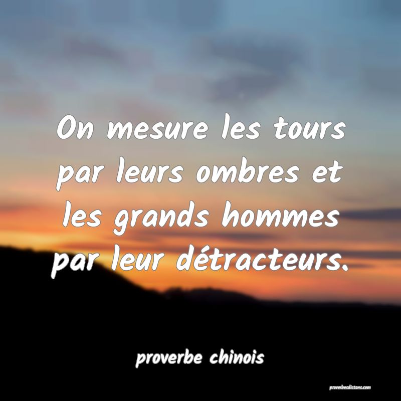 On mesure les tours par leurs ombres et les grands hommes par leur détracteurs.