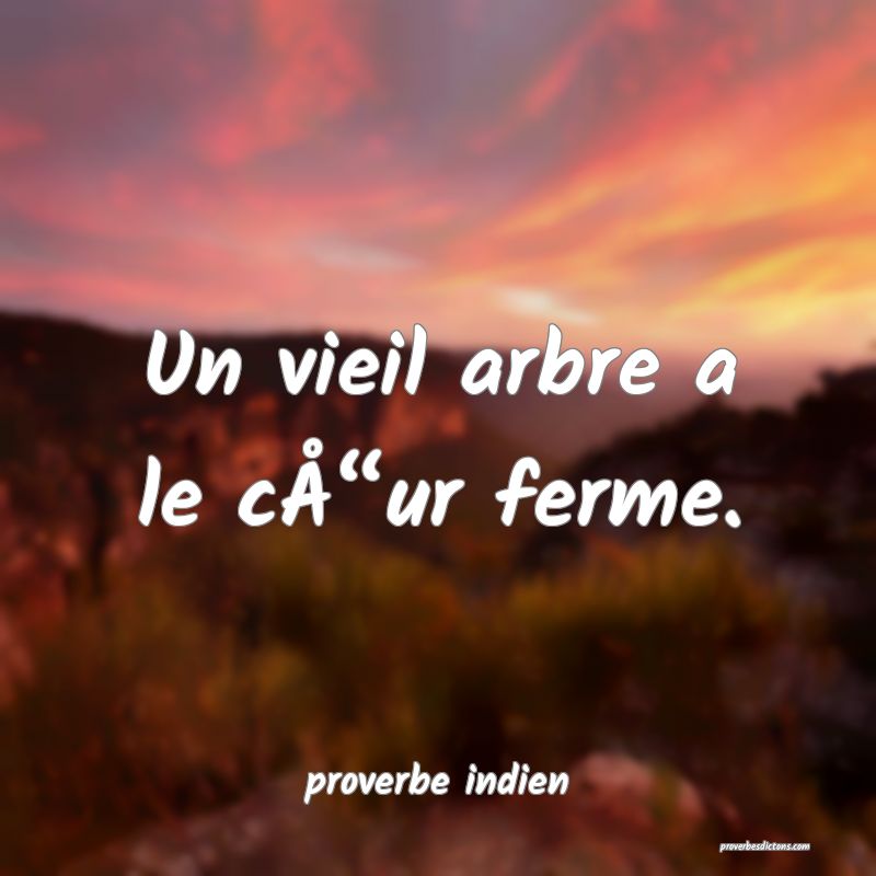 Un vieil arbre a le cÅ“ur ferme.