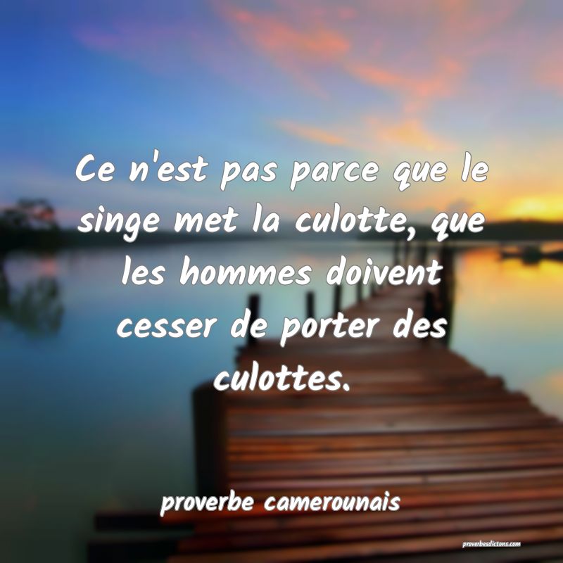  Ce n'est pas parce que le singe met la culotte, que les hommes doivent cesser de porter des culottes.