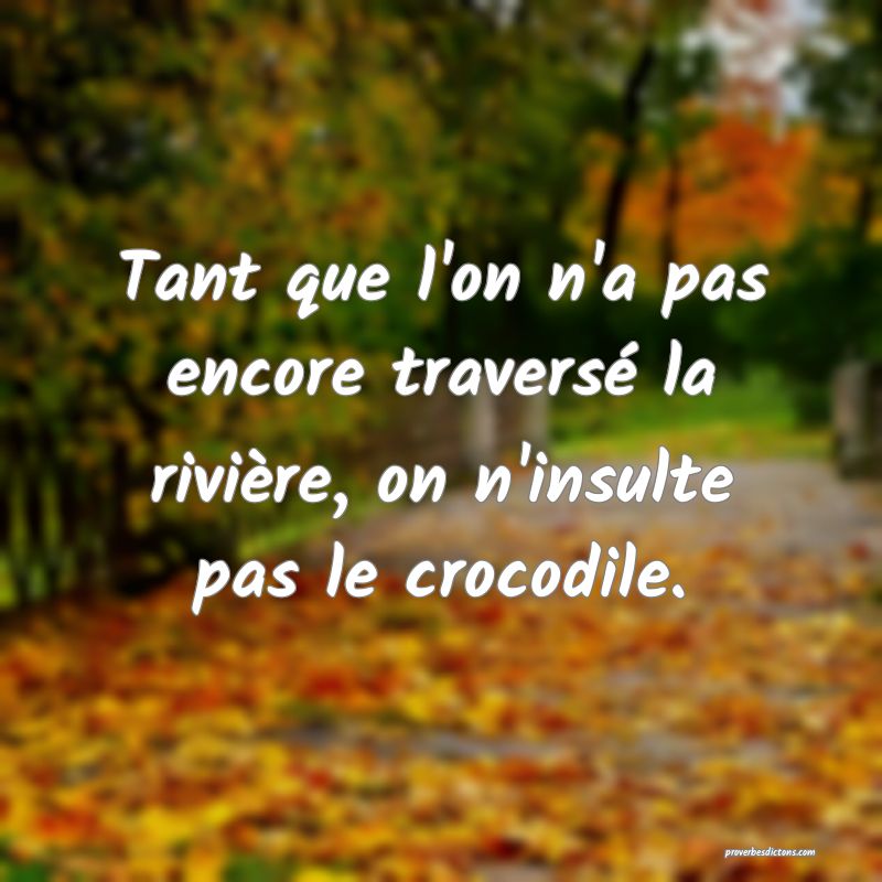 Tant que l'on n'a pas encore traversé la rivière, on n'insulte pas le crocodile.