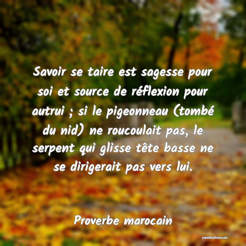 Savoir se taire est sagesse pour soi et source de réflexion pour autrui ; si le pigeonneau (tombé du nid) ne roucoulait pas, le serpent qui glisse tête basse ne se dirigerait pas vers lui.