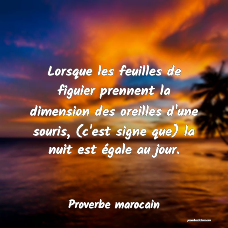 Lorsque les feuilles de figuier prennent la dimension des oreilles d'une souris, (c'est signe que) la nuit est égale au jour.