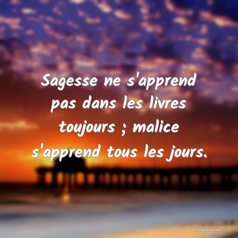 Sagesse ne s'apprend pas dans les livres toujours ; malice s'apprend tous les jours.