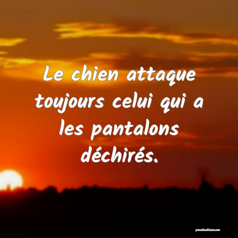 Le chien attaque toujours celui qui a les pantalons déchirés.