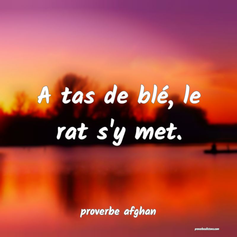 A tas de blé, le rat s'y met.