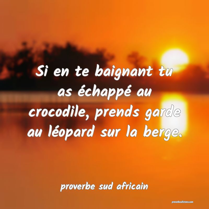 Si en te baignant tu as échappé au crocodile, prends garde au léopard sur la berge.