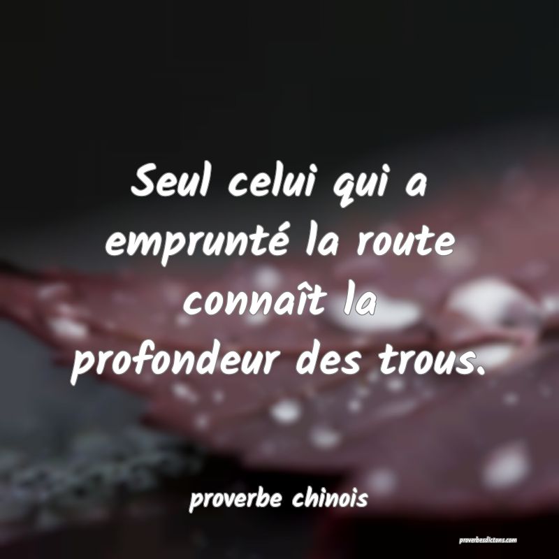 Seul celui qui a emprunté la route connaît la profondeur des trous.