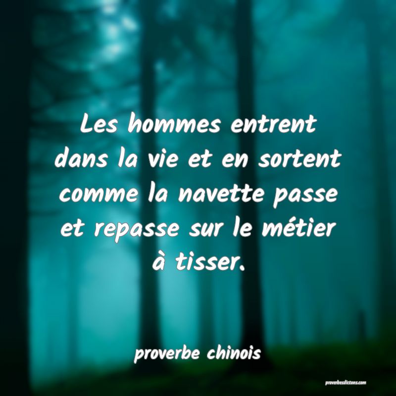  Les hommes entrent dans la vie et en sortent comme la navette passe et repasse sur le métier à tisser.
