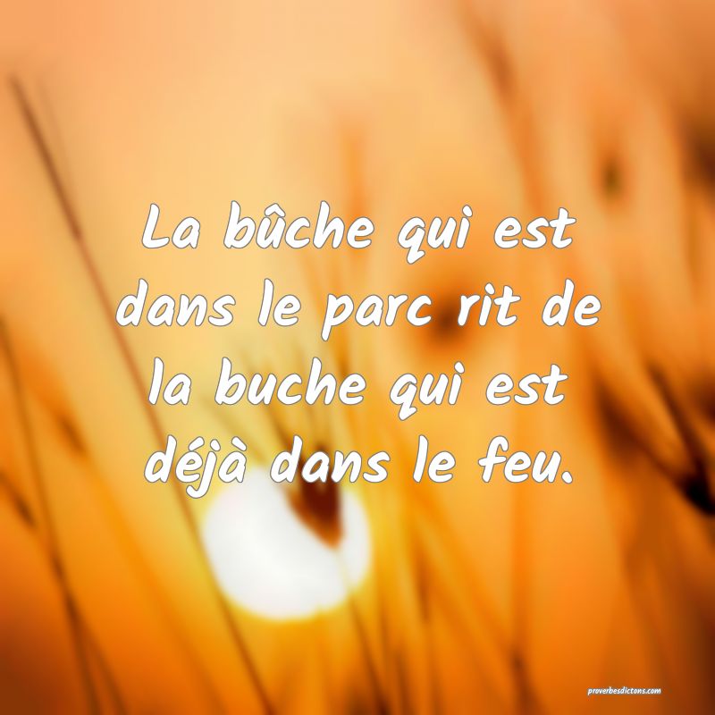 La bûche qui est dans le parc rit de la buche qui est déjà dans le feu.