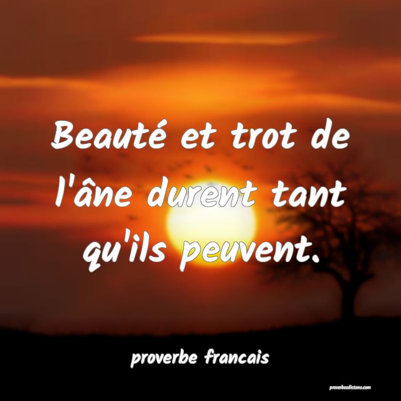 Beauté et trot de l'âne durent tant qu'ils peuvent.