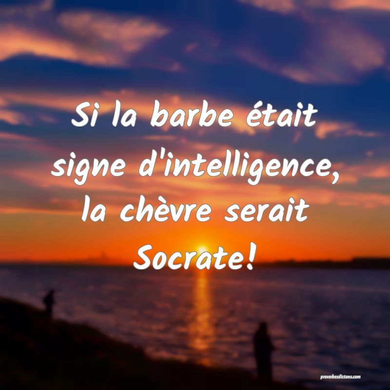 Si la barbe était signe d'intelligence, la chèvre serait Socrate!