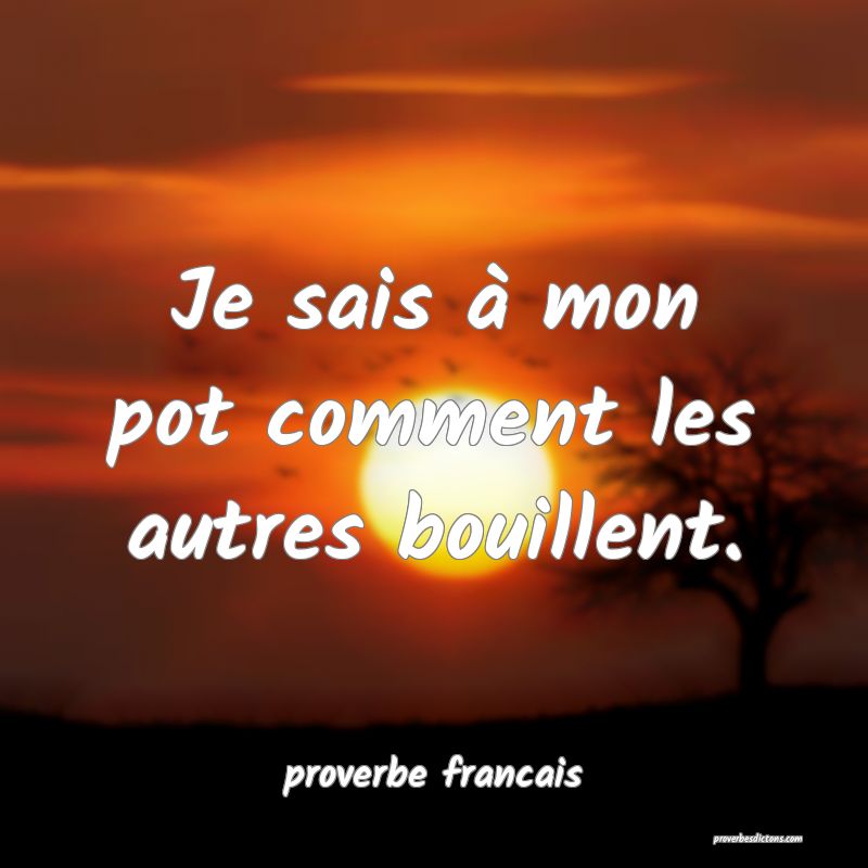 Je sais à mon pot comment les autres bouillent.