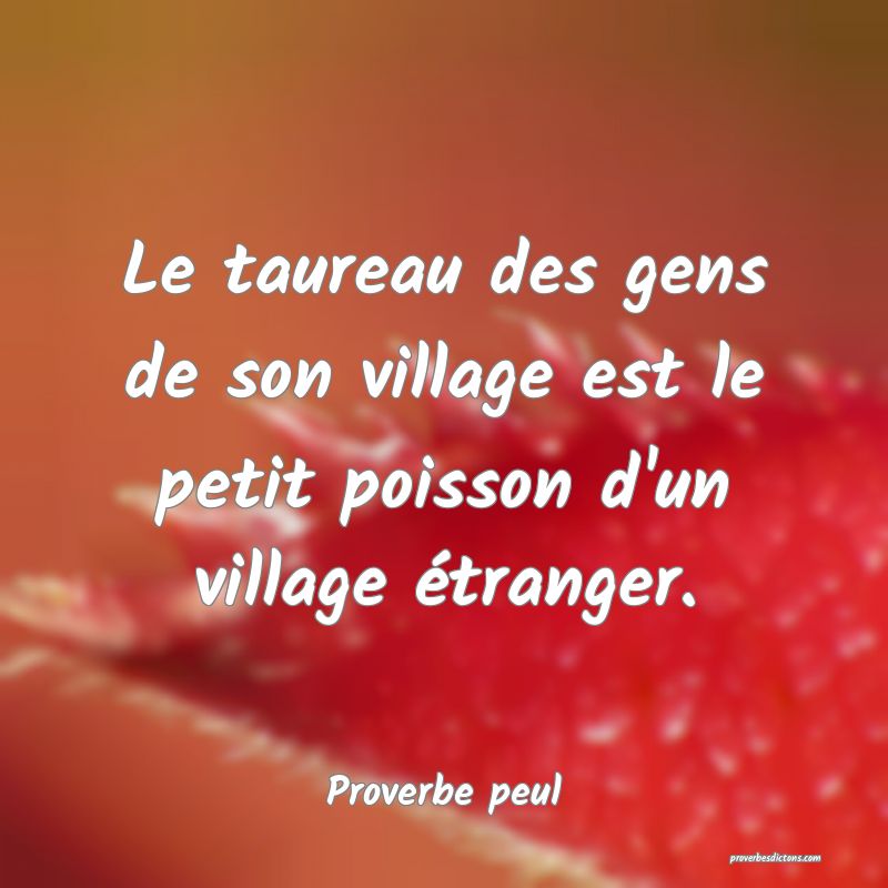 Le taureau des gens de son village est le petit poisson d'un village étranger.
