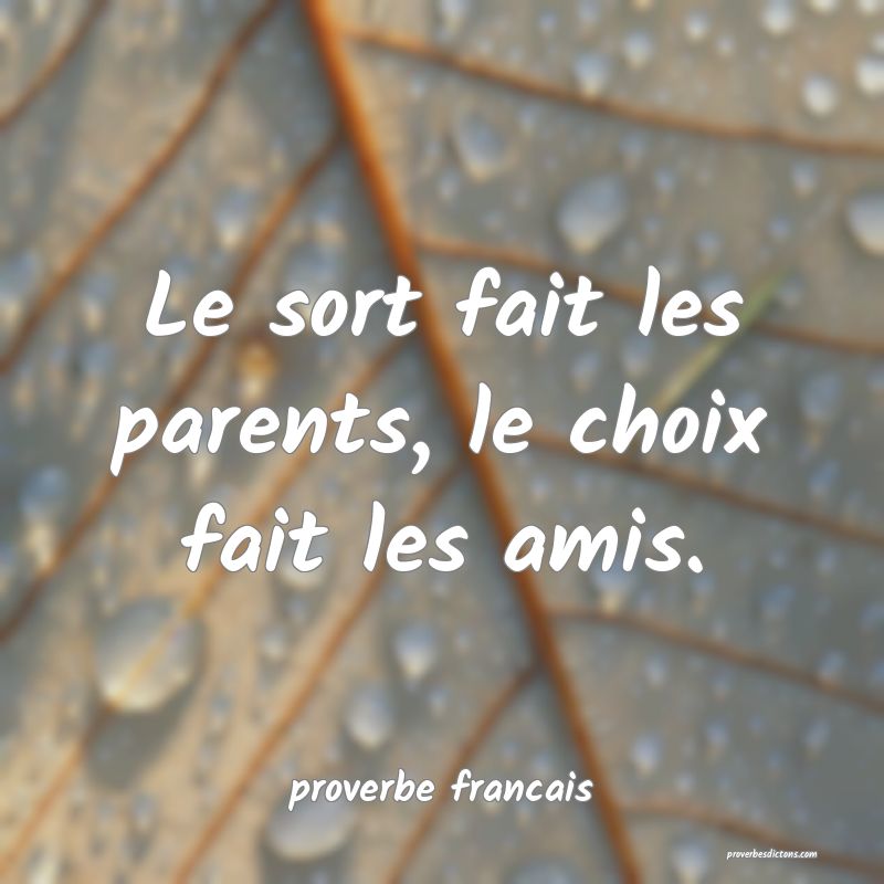 Le sort fait les parents, le choix fait les amis.