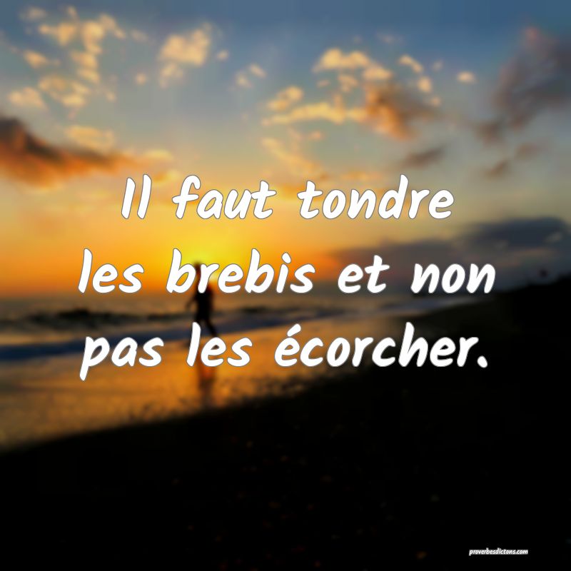 Il faut tondre les brebis et non pas les écorcher.