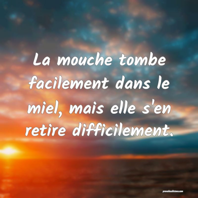 La mouche tombe facilement dans le miel, mais elle s'en retire difficilement.