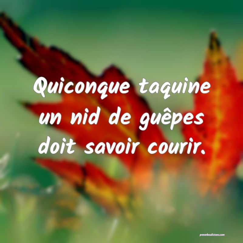 Quiconque taquine un nid de guêpes doit savoir courir.