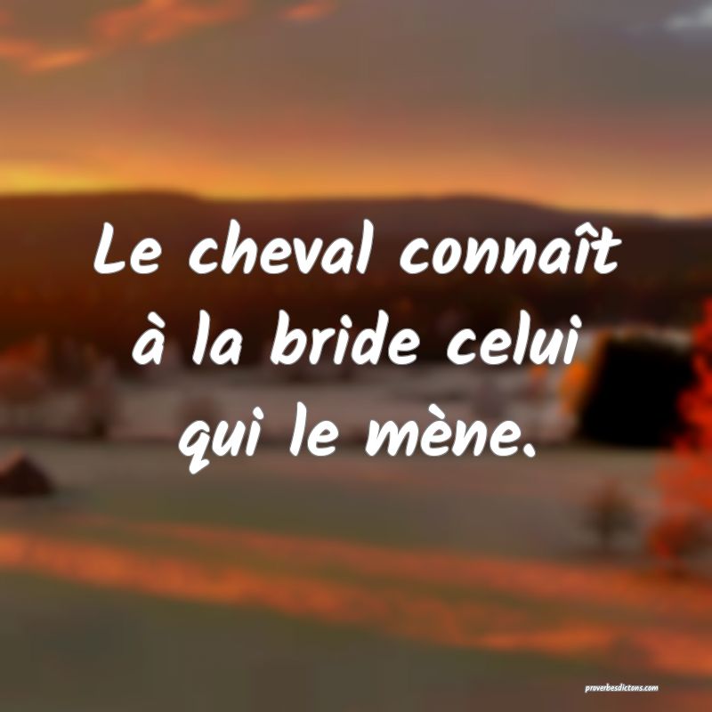 Le cheval connaît à la bride celui qui le mène.
