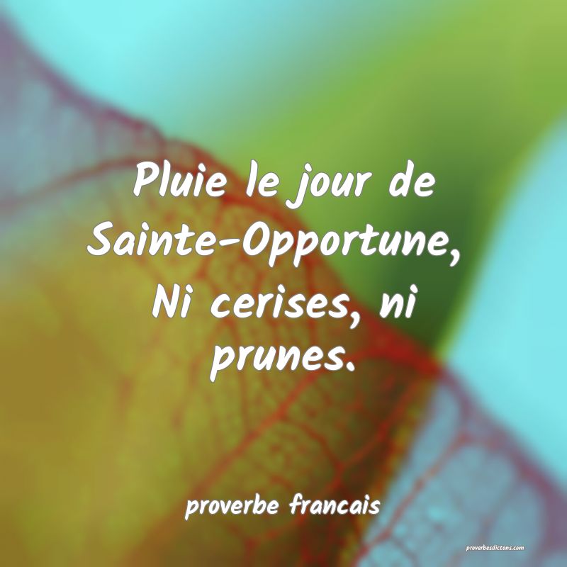Pluie le jour de Sainte-Opportune, 
Ni cerises, ni prunes.