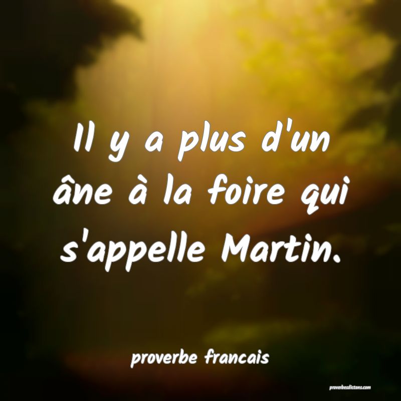 Il y a plus d'un âne à la foire qui s'appelle Martin.