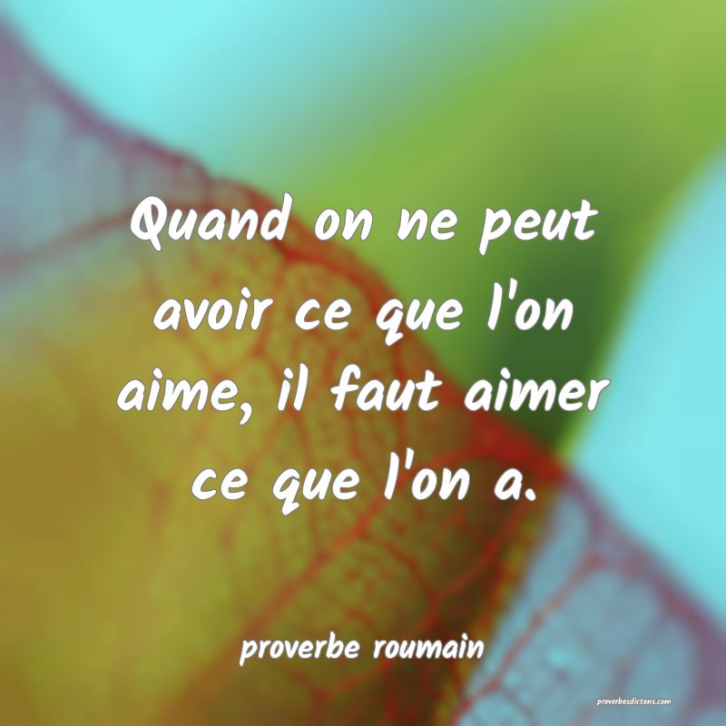 Quand on ne peut avoir ce que l'on aime, il faut aimer ce que l'on a.
