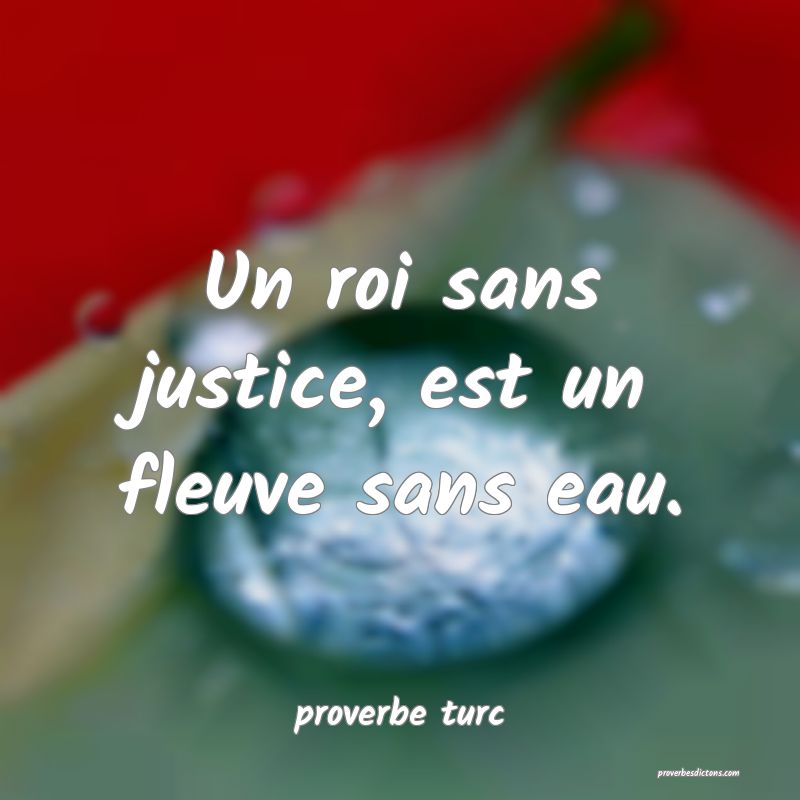  Un roi sans justice, est un fleuve sans eau.