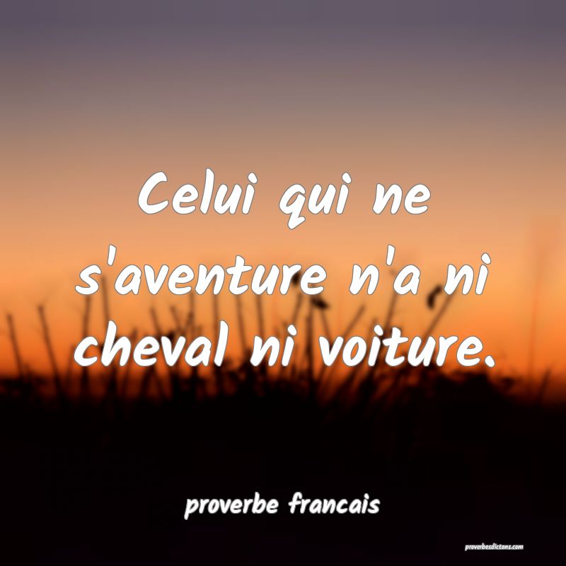 Celui qui ne s'aventure n'a ni cheval ni voiture.